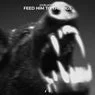 Cover Image for FEED HIM TO THE PIGS Extended Mix