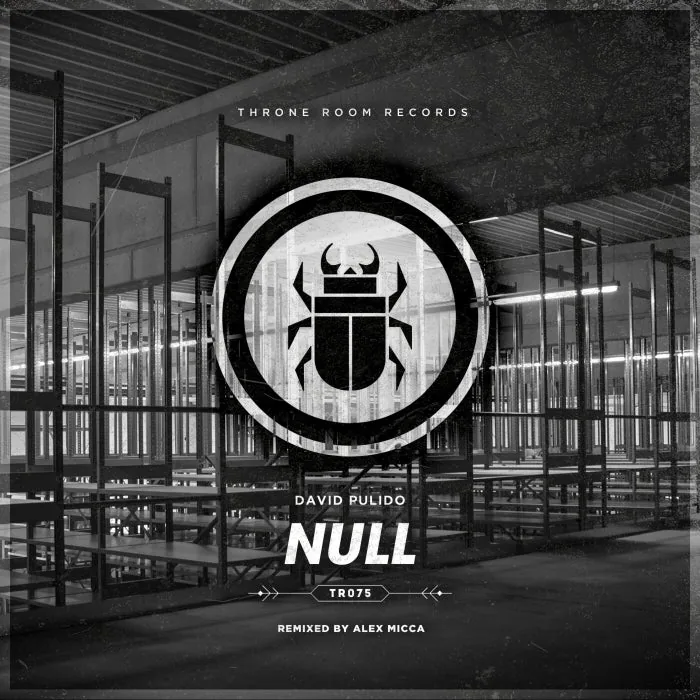 David Pulido – Null on Throne Room Records cover art