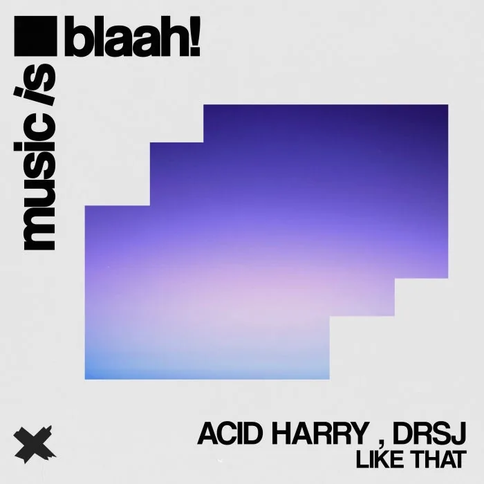 Dr SJ, ACID HARRY - Like That cover art