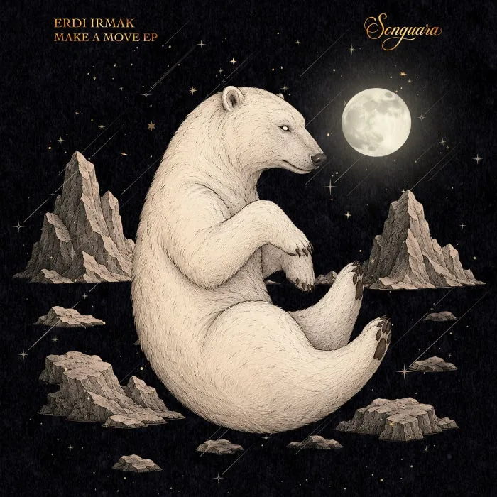 Erdi Irmak – Make a Move on Songuara cover art