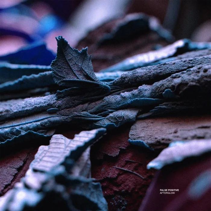False Positive - Afterglow cover art