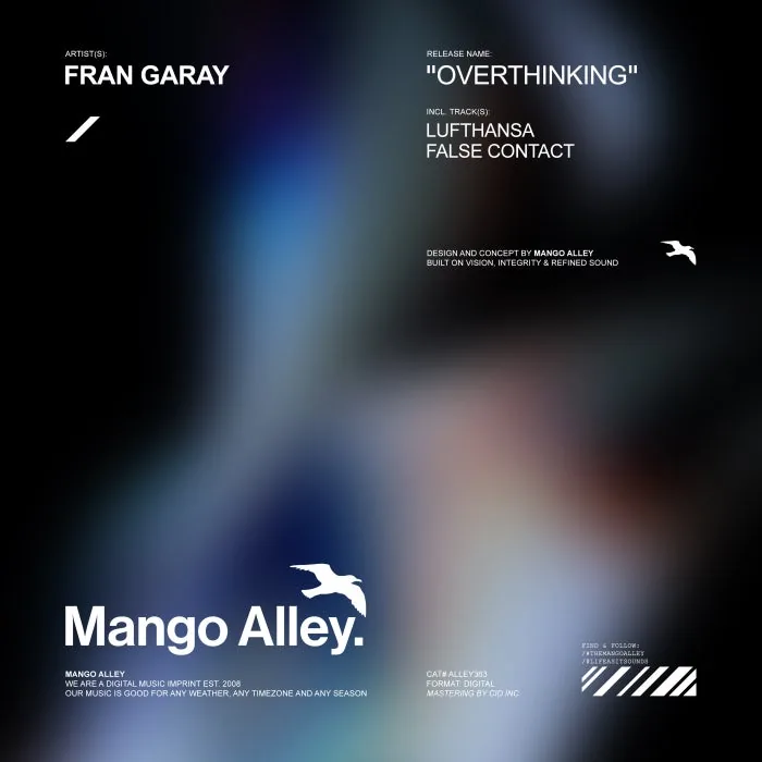 Fran Garay - Overthinking cover art