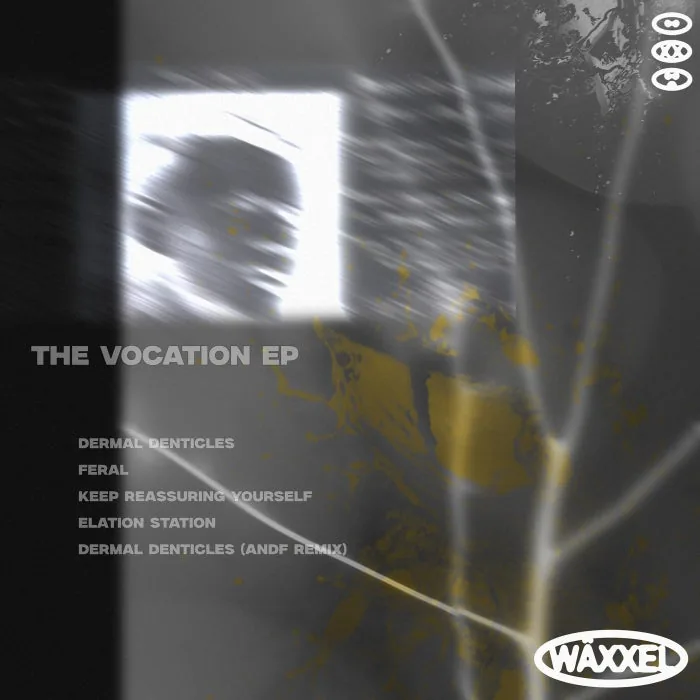 Koexistant – The Vocation EP on Wäxxel