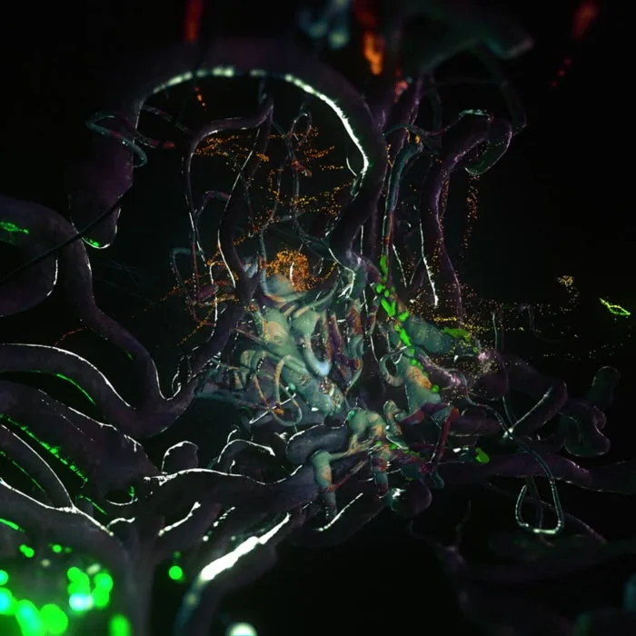 Konx-om-Pax - Naja Naja EP cover art