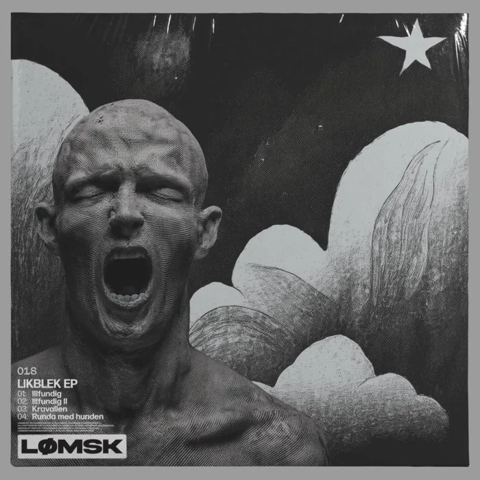 Mattias Fridell, Alexander Johansson - Likblek EP cover art