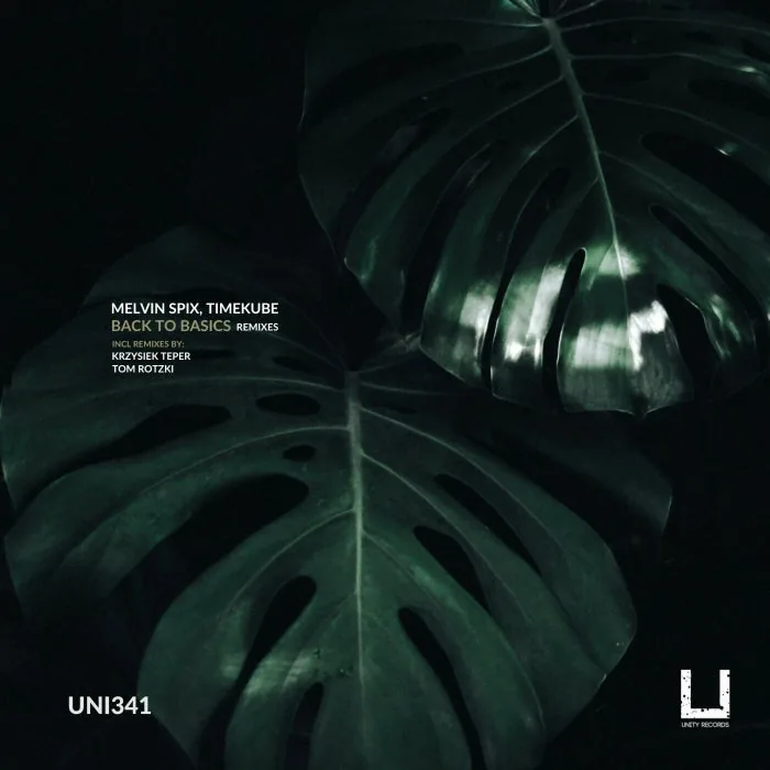 Melvin Spix, TimeKube – Back to Basics Remixes on Unity Records