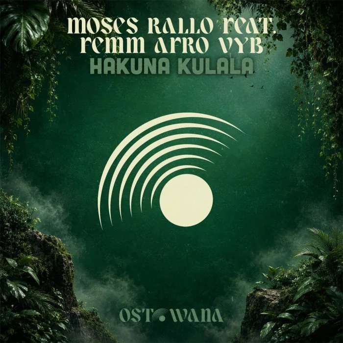 Moses rallo, Femm Afro Vyb - Hakuna Kulala cover art