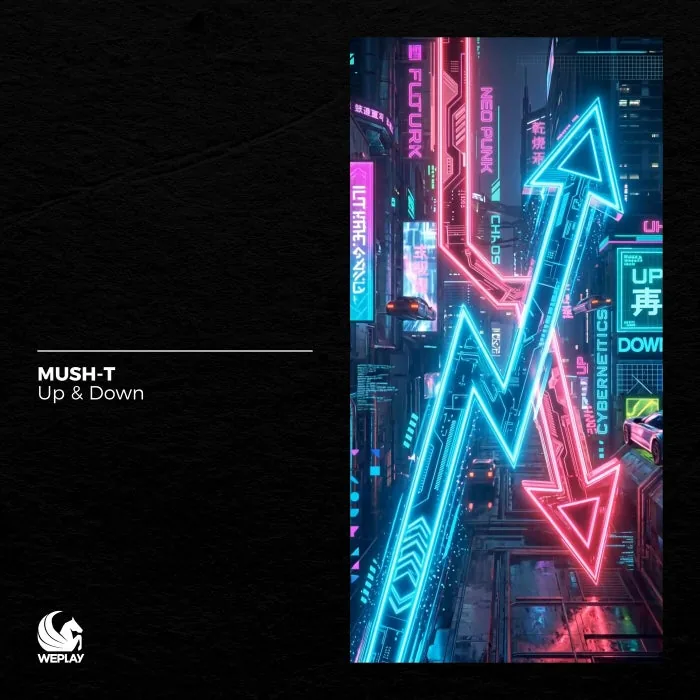Mush-T - Up & Down cover art