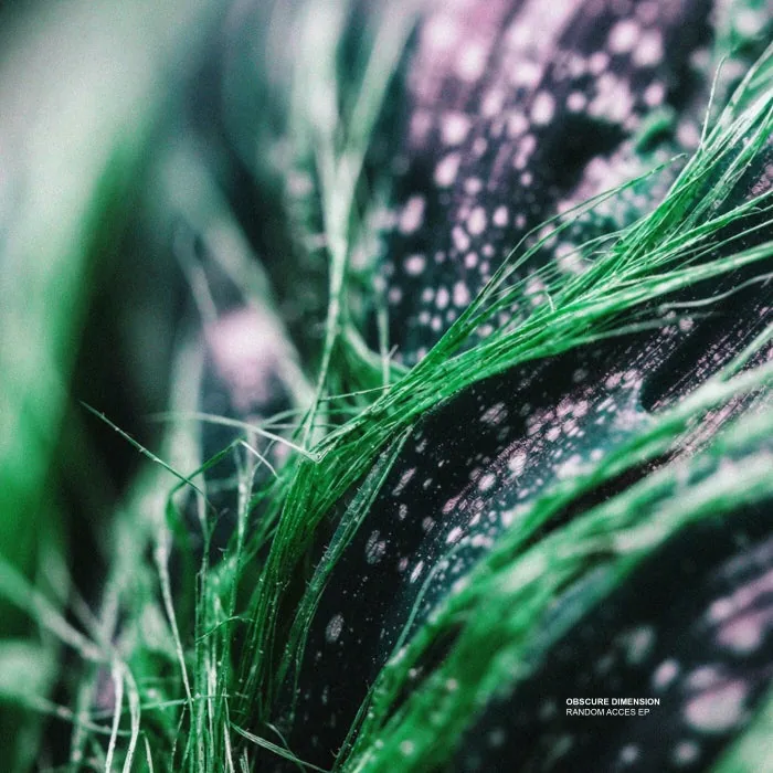 Obscure Dimension - Random Acces EP cover art