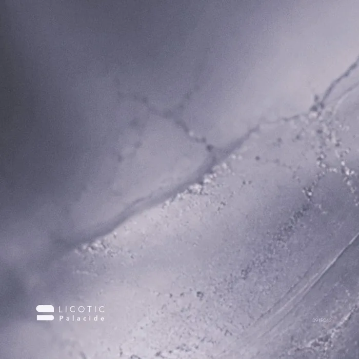 PALACIDE – Licotic on 091 Records