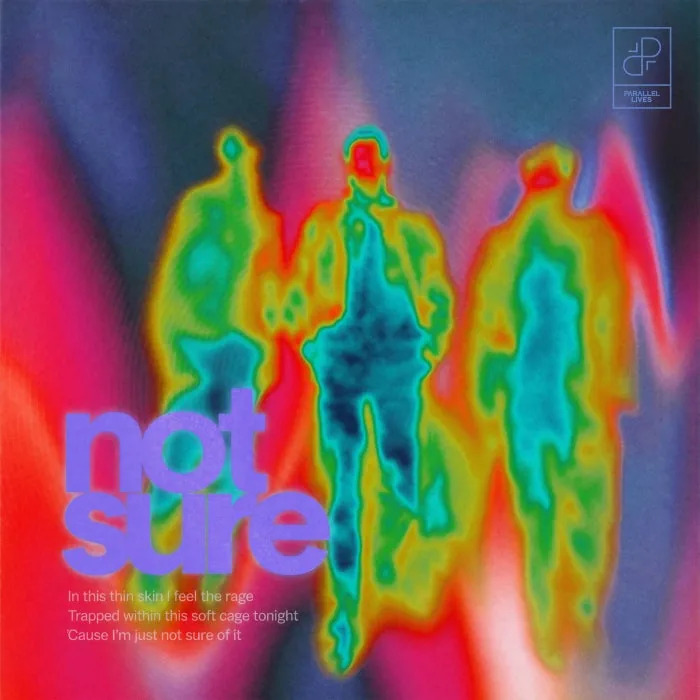 Prana Flow, True Motion, panz. - Not Sure cover art