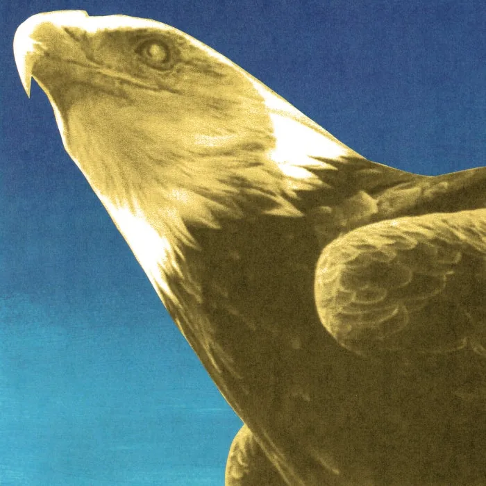 Protomartyr - Feed the Sewer cover art