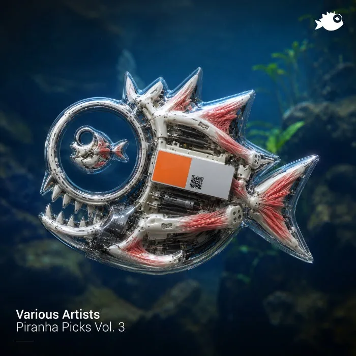 Rafael Vilches, Matias Bordon – Piranha Picks, Vol. 3 on JEAHMON! Records cover art