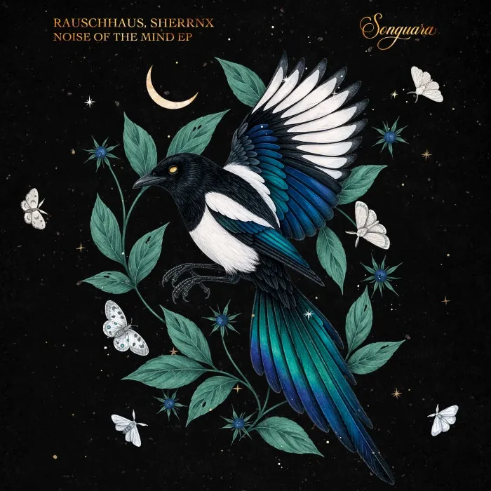 Rauschhaus, SHERRNX - Noise of the Mind cover art