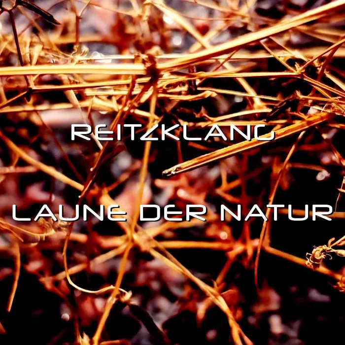 Reitzklang - Laune der Natur cover art