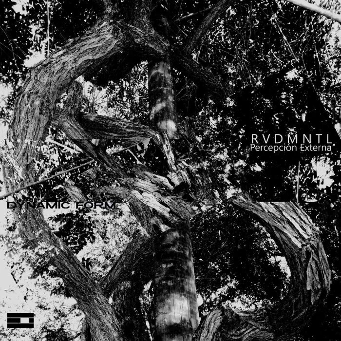 RVDMNTL - Percepción Externa cover art