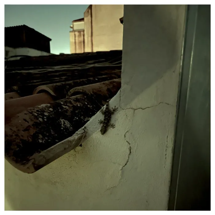 Scuba - Tío (3) cover art