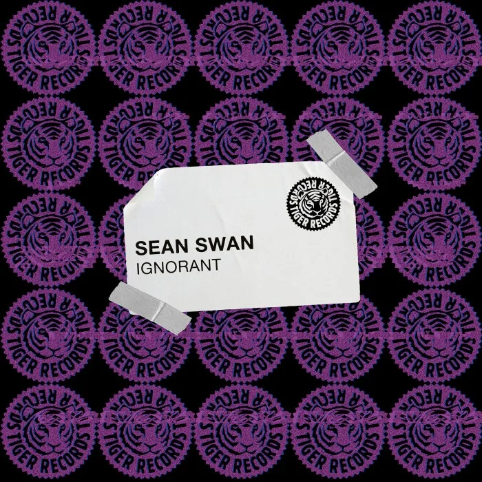 Sean Swan - Ignorant cover art