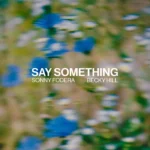 Sonny Fodera, Becky Hill - Say Something cover art