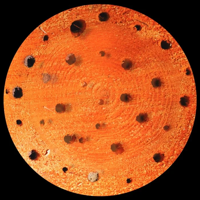 Ω – Ω V on TREMSIX cover art
