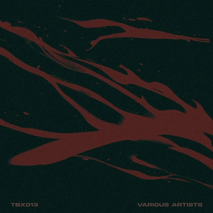 VA - #13 cover art