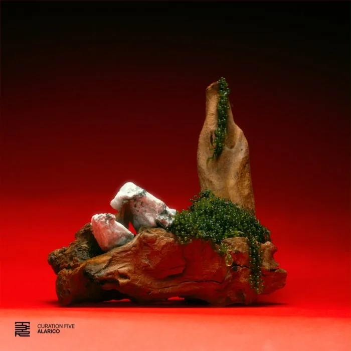 VA - Curation Five Alarico cover art