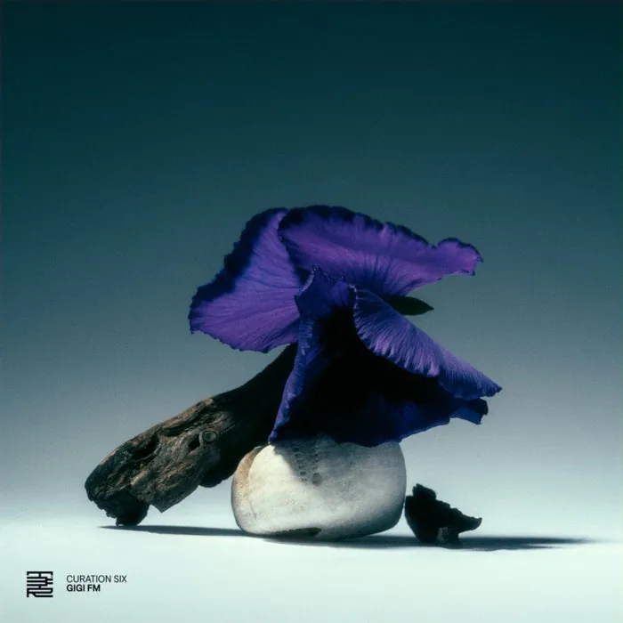 VA - Curation Six GiGi FM cover art