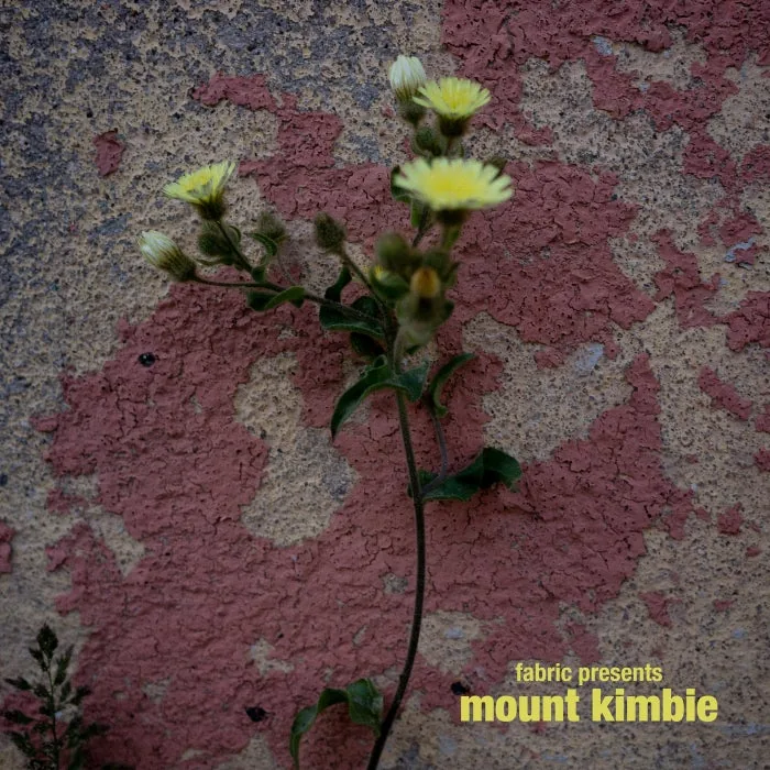 VA - fabric presents Mount Kimbie cover art