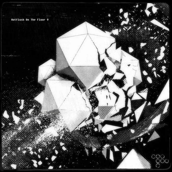 VA – Hotflush On The Floor 9 on Hotflush Recordings cover art