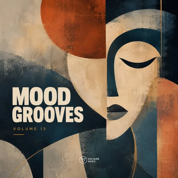 VA - Mood Grooves Vol. 13 cover art