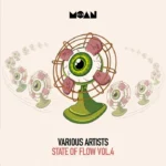 VA - State of Flow Vol.4 cover art