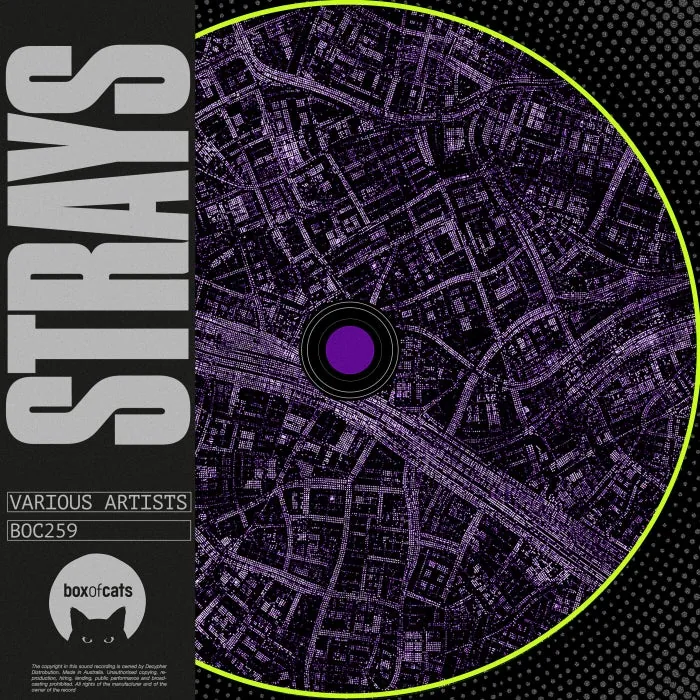 VA - Strays cover art