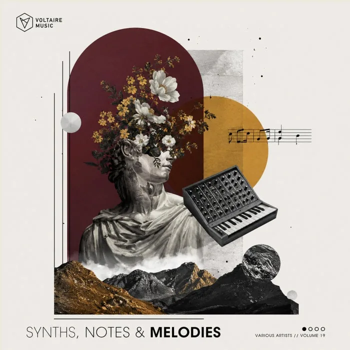VA – Synths, Notes & Melodies Vol. 19 on Voltaire Music cover art