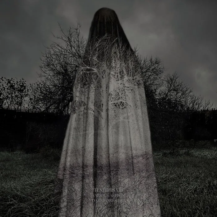 VA – Tenebris VIII on DarkForest