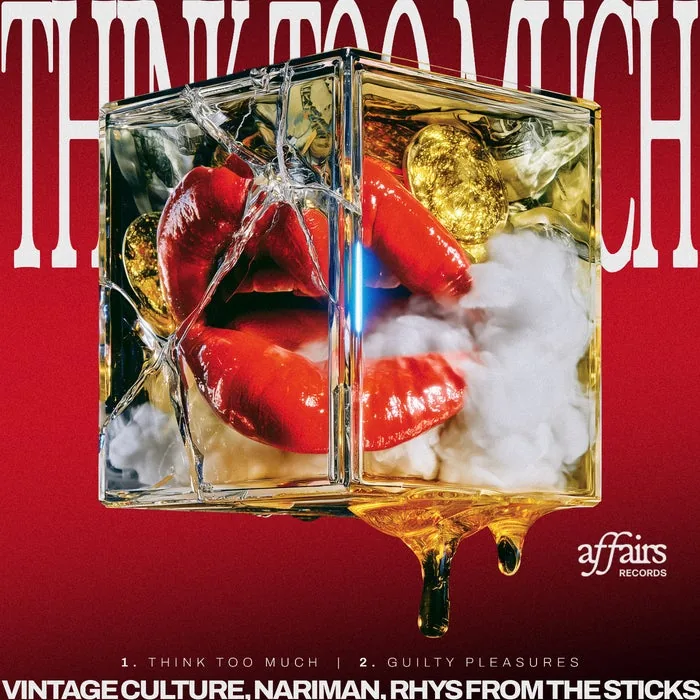 Vintage Culture, Rhys from the Sticks, Nariman - Think Too Much EP cover art