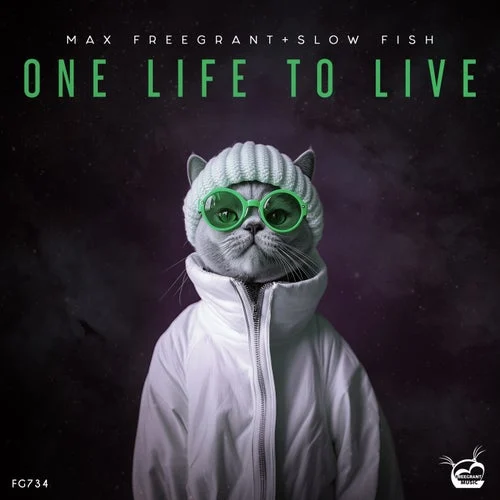 Cover Image:  - One Life To Live on Freegrant Music