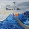 Cover Image for Tears in Rain Original mix