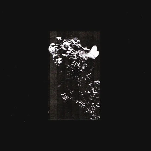 Cover Image: L.Douglas - Residue on Second Born
