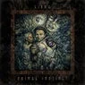 Cover Image for Primal Instinct Original mix