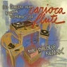 Cover Image for Carioca Flute The Checkup Remix