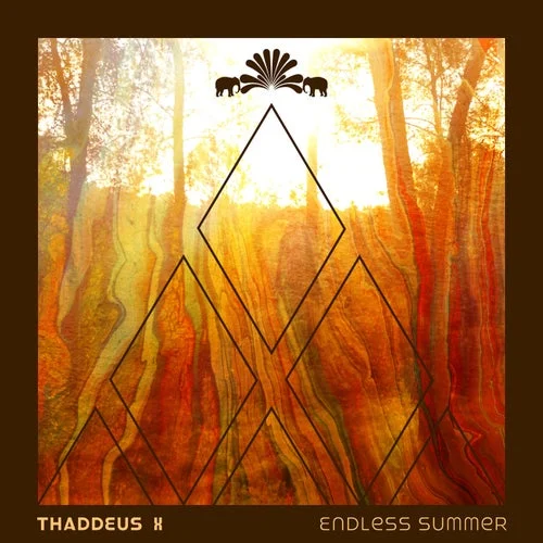 Cover Image: Thaddeus X - Endless Summer on 3000 Grad Records
