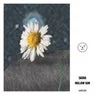 Cover Image for Hollow Sun 24 Original Mix