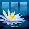 Cover Image for White Lotus Extended Mix