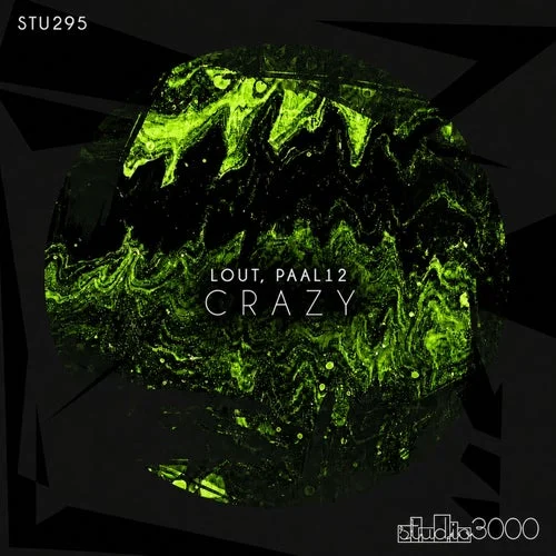 Cover Image: LOUT, Paal12 - Crazy on Studio3000 Records