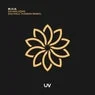 Cover Image for Skywalkers Paul Thomas Extended Remix