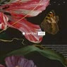 Cover Image for Scala Vintage Culture Remix