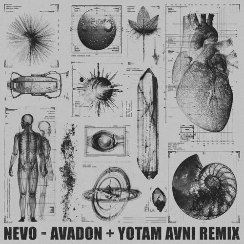 Cover Image: Nevo - Avadon on Shamanic Tales