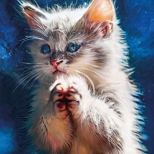 Cover Image: Perzeptiverdampfkesselqualmtbesinnlich - Pussy Disco: The Sunrise Sessions on Synaptic Cliffs