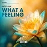 Cover Image for What A Feeling Original Mix
