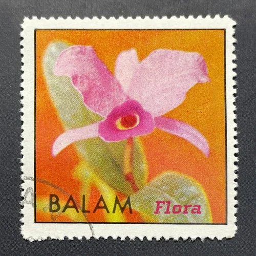Cover Image: Balam - Flora on Multi Culti
